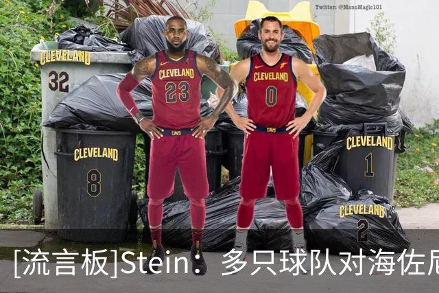 [流言板]Stein：多只球队对海佐尼亚有意，其中包含追求詹姆斯的球队